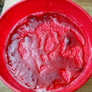 rhubarbe_23